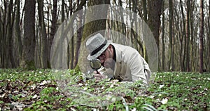 Bearded man using magnifying glass for examining nature