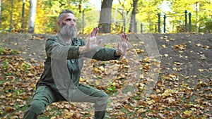 Bearded middle-aged man doing chinese tai chi exercises on lawn in autumn city park