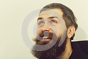 Bearded smiling happy brutal caucasian man look up