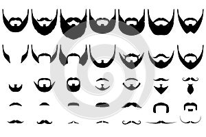 Beards big collection