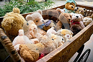 Bears as a souvenir in a doll carriage photo