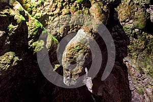 Bears Cave in Apuseni mountains