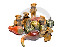 Bears and Gourds