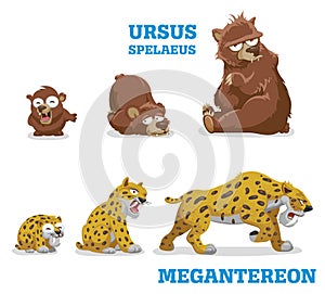 Bears and leopards. Vector illustration of pleistocene baby, young and adult wild animals bear and leopard