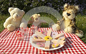 Bears picnic