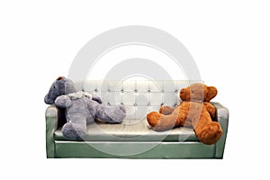 bears sleep on sofa bench in living room and wood floor white wa