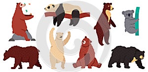 Bears species. Wild mammal characters, furry forest predators, grizzly panda koala and arctic white bear vector