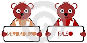 Bears with true and false signs, bear, quiz, portuguese, isolated.