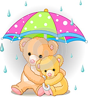 Medvede dáždnik 