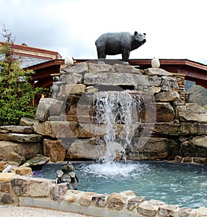 Bears in waterfall feature at Anakeesta.