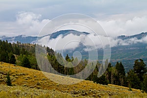 Beart tooth mountain range