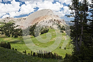 Beartooth Butte photo