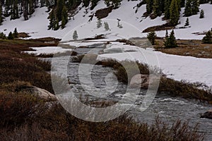 Beartooth River Rushes Along Snowy Bank