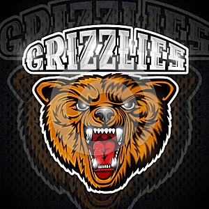 Beast bear face from the front view with bared teeth. Logo for any sport team grizzlie