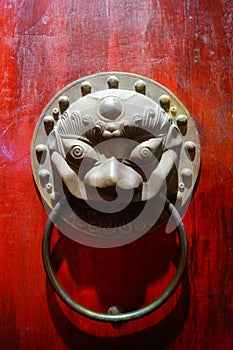 The beast Head Knocker