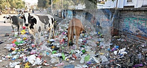 Beat plastic pollution . Plastic pollution in India