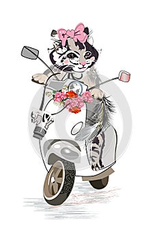 Beatiful fashion cat on the scooter with a camera, decorated with flowers.