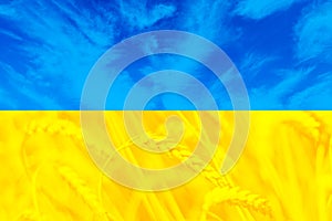 Beatiful flag of Ukraine photo