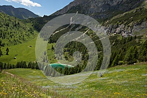 Beatiful Landscape with Mountain Biker, crossing a steep field covered in Flowers with Mountains in the Background. Summer Sports