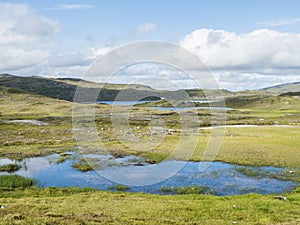 Beatiful northern artic landscape, tundra in Swedish Lapland with vivid blue lakes and pond, lush green grass, hills and mountains