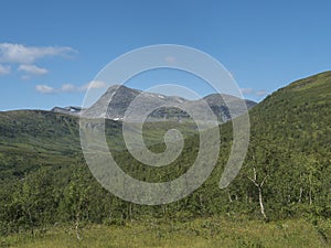 Beatiful northern landscape artic landscape, tundra in Swedish Lapland with green hills and mountains and birch forest