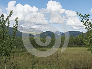 Beatiful northern landscape artic landscape, tundra in Swedish Lapland with green hills and mountains and birch forest