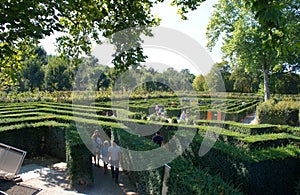 Beatiful park labyrinth in Schoenbrunn, Vienna