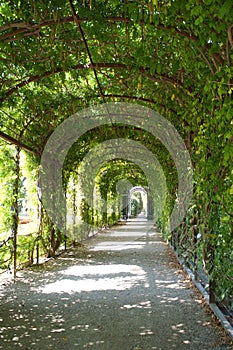 Beatiful park in Schoenbrunn, Vienna