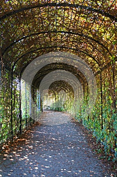 Beatiful park in Schoenbrunn, Vienna