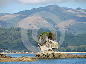 Beatiful rock in Abel Tasman national park New Zealand