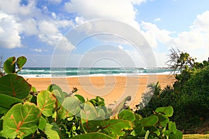 Beatiful secluded beach in Isabela, Puerto Rico