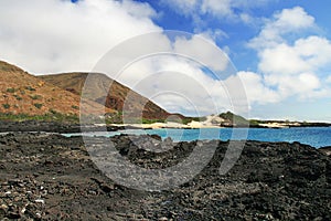 The beatiful shoreline of the Galapagos Islands