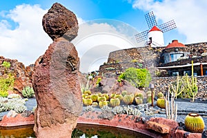 Beatiful View of cactus garden, Jardin de Cactus in Guatiza, Lanzarote, Canary Islands, Spain