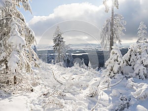 Beatiful winter landscape, view of Cakova vyhlidka viewpoint at fields, forest, villages and snowy spruce tree with snow