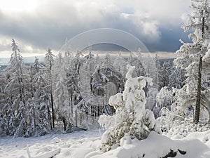 Beatiful winter landscape, view of Cakova vyhlidka viewpoint at fields, forest, villages and snowy spruce tree with snow