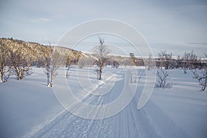 A beatiful winter scenery with a road. Woods in Norway.