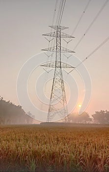 The beatifull sunrise at Ngawi Indonesia with a yellow paddy and electrical tower