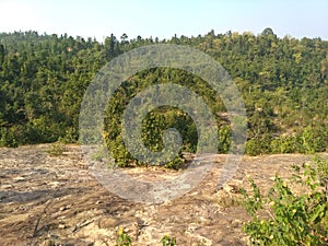 A beatyfull forest in baikunthpur at india