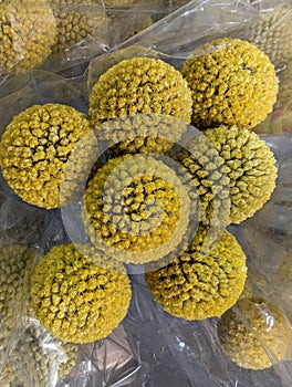 Beau Jour Dried Craspedia Yellow Billy Balls photo