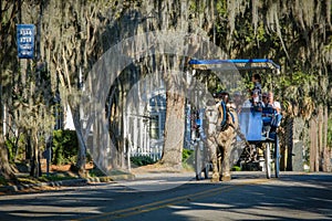 Beaufort, South Carolina tourists sightseeing on a horse-drawn carriage ride under Spanish moss covered trees