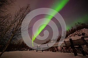 Beauitful aurora over Trans-Alaska Pipeline System