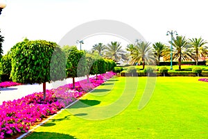 beauitiful  garden sky green view