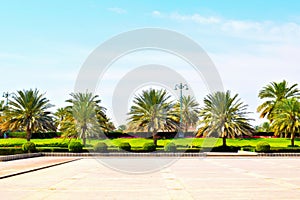 beauitiful  garden sky green view