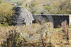 Beaujolais Borie