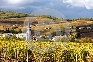 Beaujolais, Rhone-Alpes, France