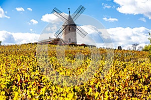 Beaujolais, Rhone-Alpes, France