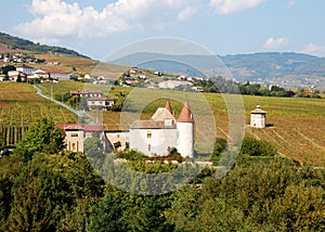 Beaujolais vineyard, France