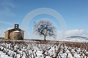 Beaujolais in winter