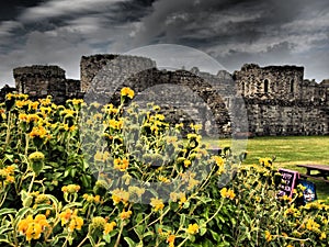 Beaumaris Castle is an unfinished Welsh medieval castle from the turn of the 13th and 14th centuries located in the Wales