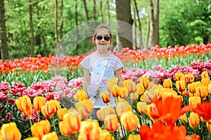 Beauriful dutch girl smelling tulip flower on tulip fields. Child in tulip flower field in Holland. Kid in magical Netherlands